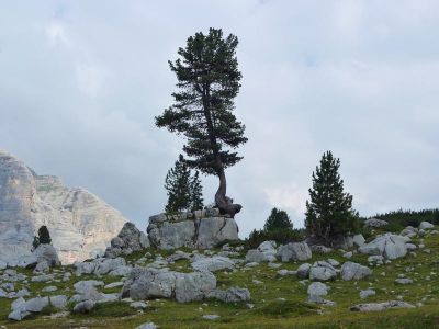 014-Auf dem Weg zur kleinen Fanes-Huette